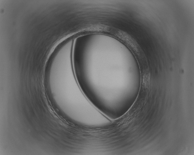 X0000085240724200703090921