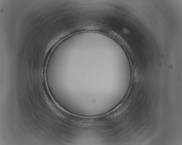 X0000085240725200703090921