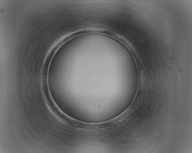 X0000085240726200703090921