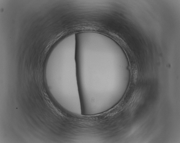 X0000085240729200703090921