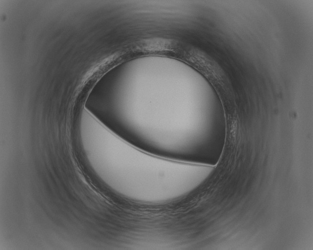 X0000085240732200703090921