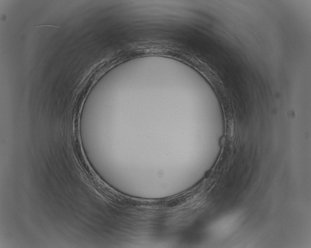 X0000085240733200703090921