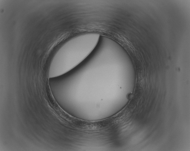 X0000085240735200703090921