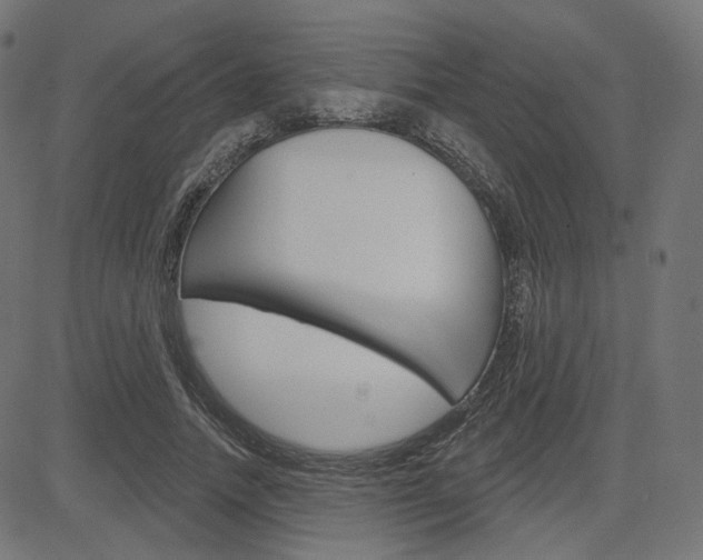 X0000085240738200703090921