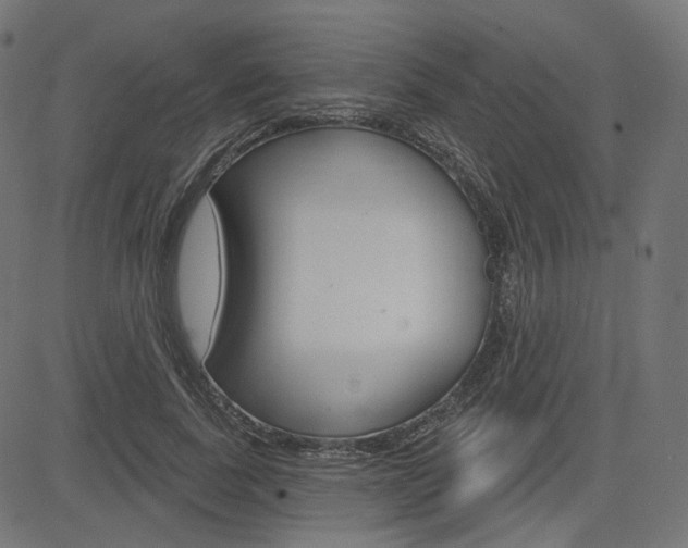 X0000085240739200703090921