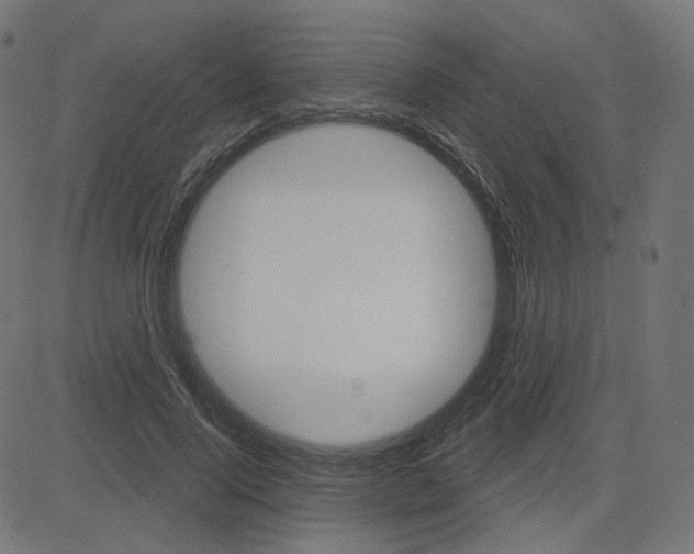 X0000085240740200703090921