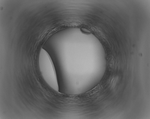 X0000085240743200703090921