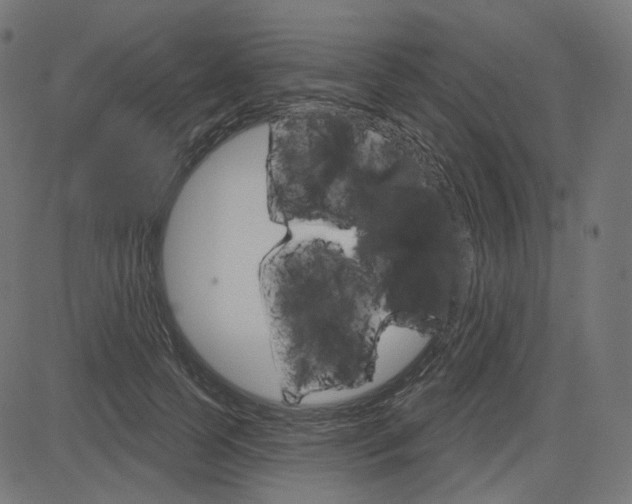 X0000085240745200703090922