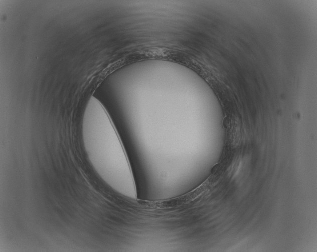 X0000085240747200703090922