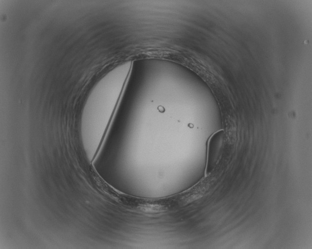 X0000085240748200703090922