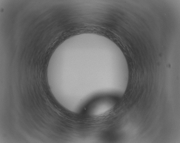 X0000085240750200703090922