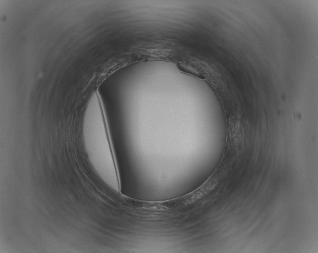 X0000085240752200703090922