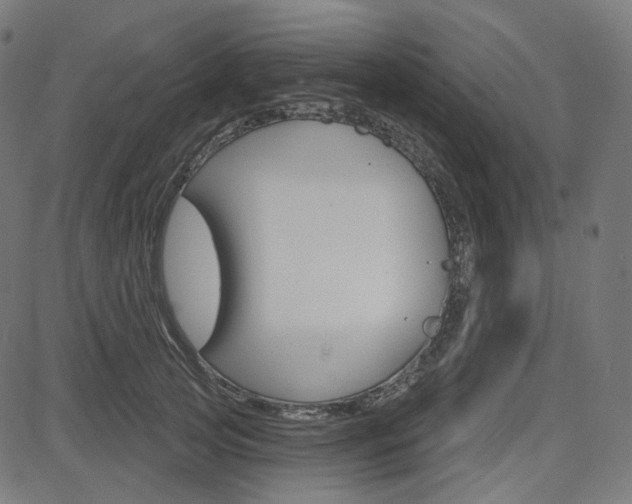 X0000085240753200703090922