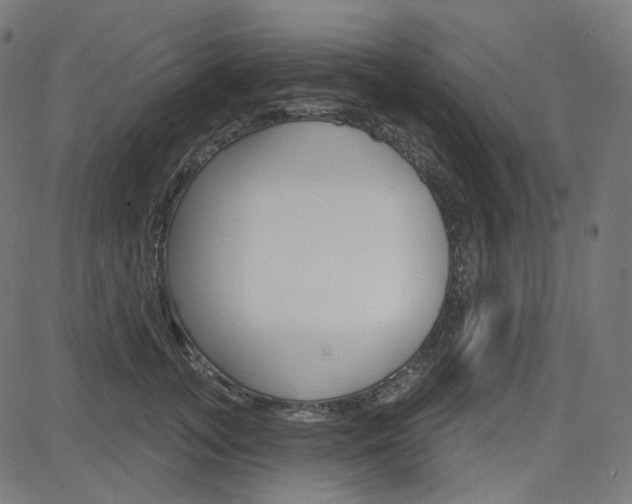 X0000085240755200703090922