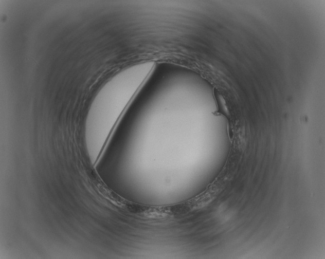 X0000085240756200703090922