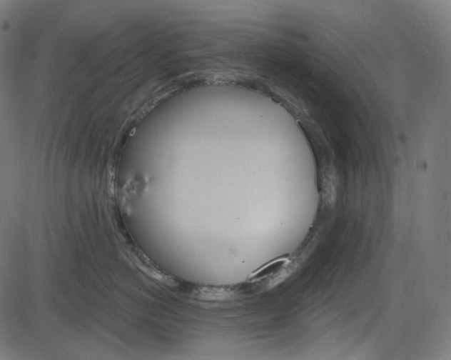 X0000085240766200703090922