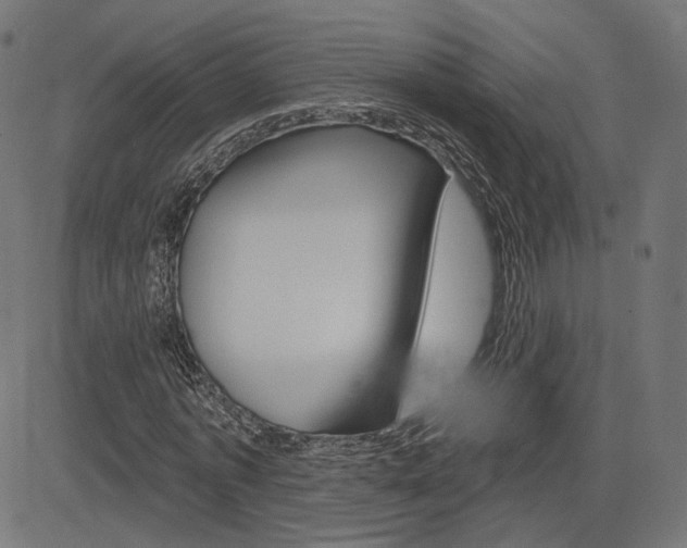 X0000085240773200703090921