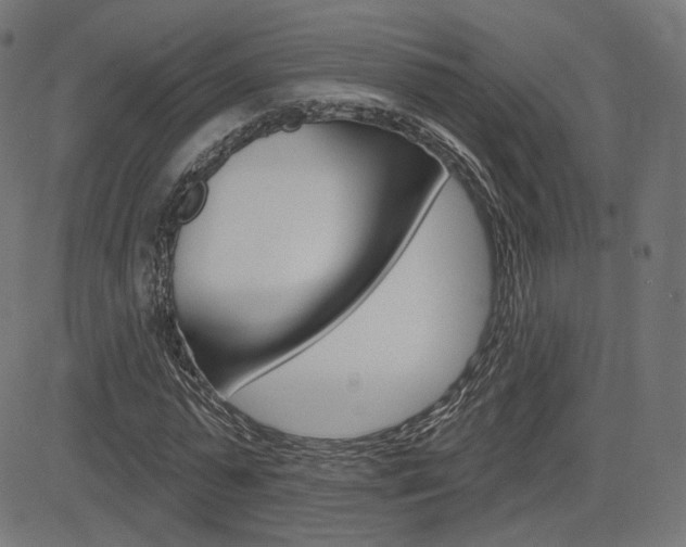 X0000085240775200703090921
