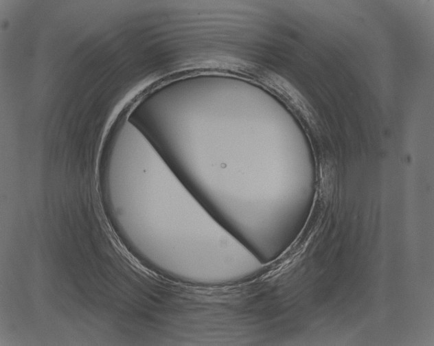 X0000085240780200703090921