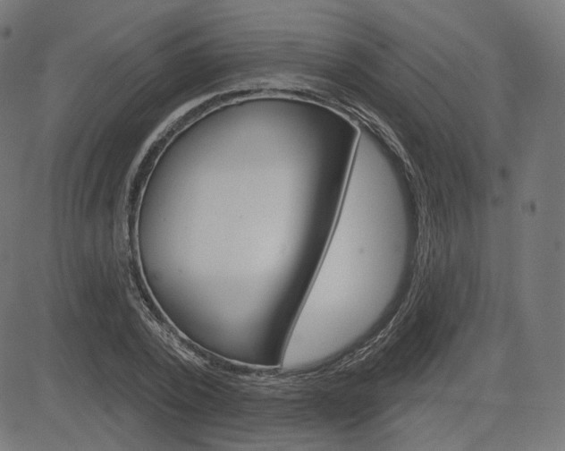 X0000085240784200703090921