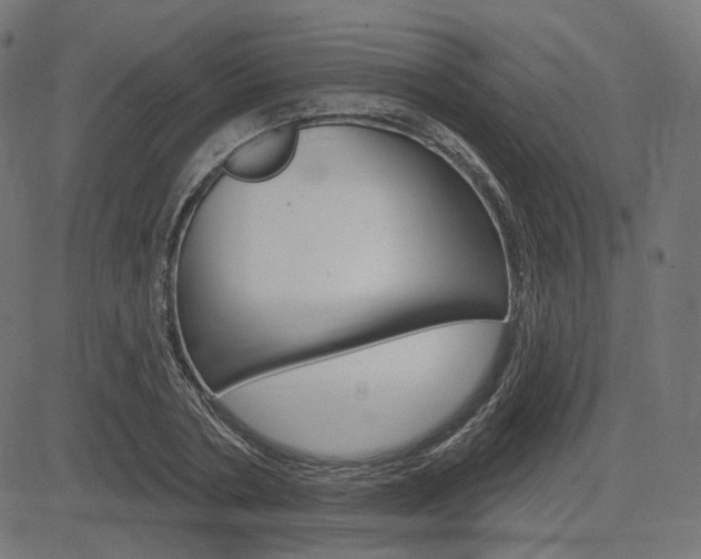 X0000085240786200703090921