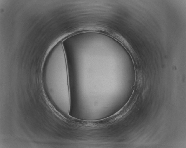 X0000085240787200703090921