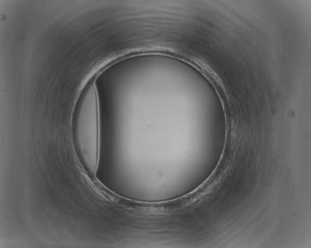 X0000085240789200703090921