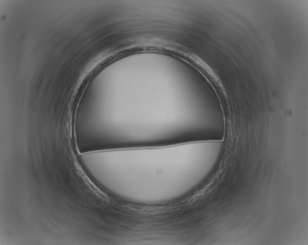 X0000085240791200703090921