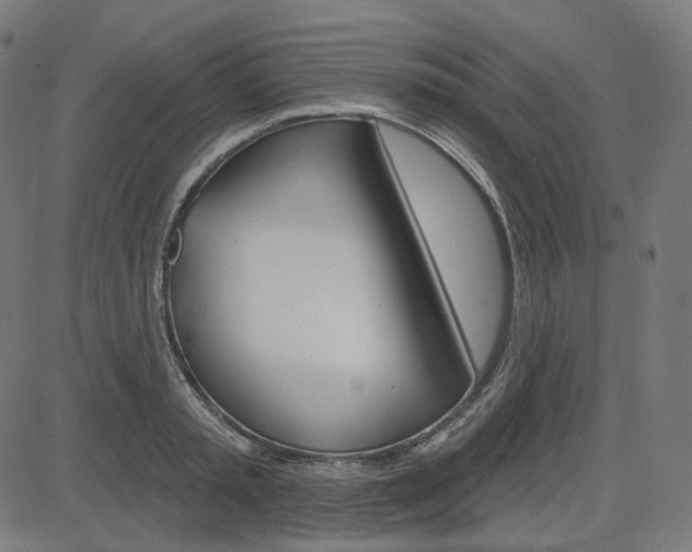 X0000085240797200703090921