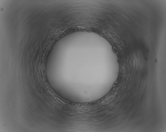 X0000085240817200703090920