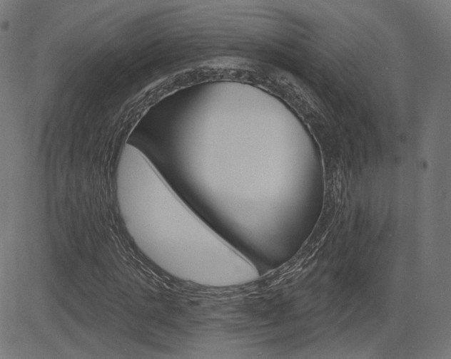 X0000085240821200703090920