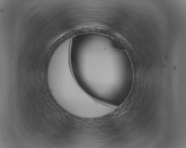 X0000085240822200703090920