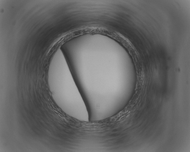 X0000085240823200703090920