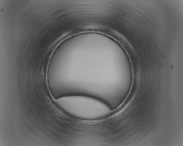 X0000085240825200703090920