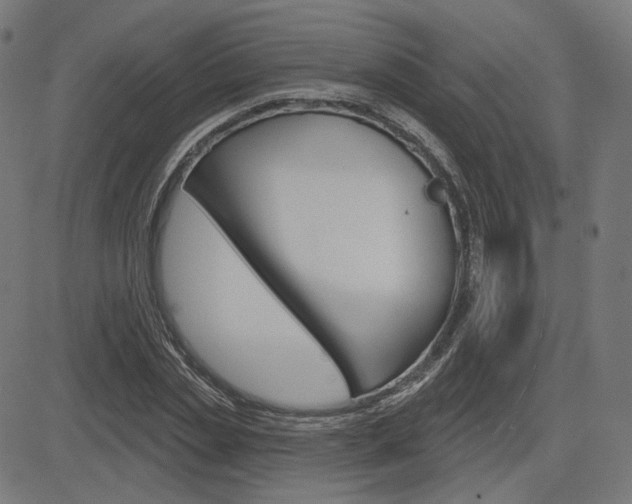 X0000085240829200703090920