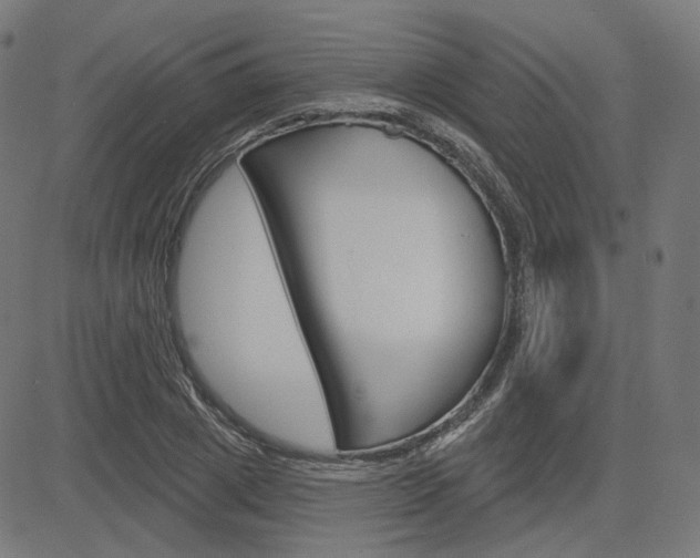 X0000085240833200703090920