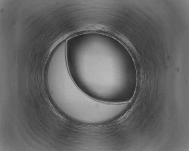 X0000085240834200703090920