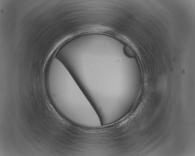 X0000085240835200703090920