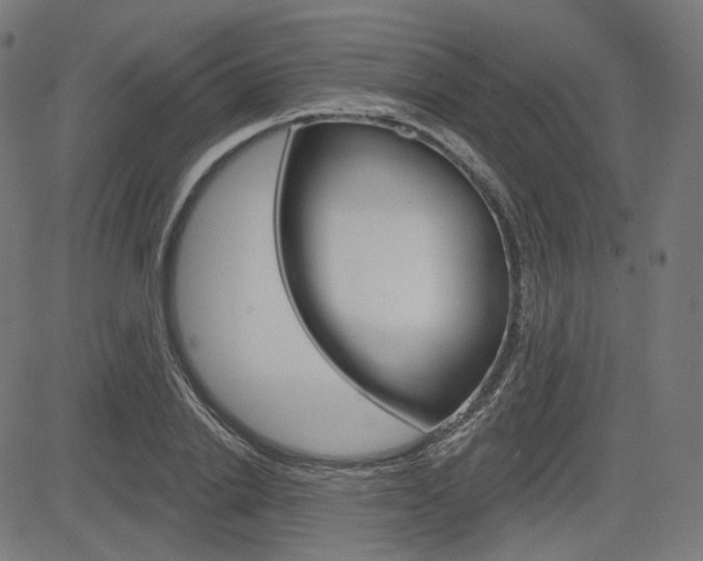 X0000085240838200703090920