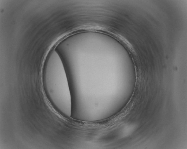 X0000085240840200703090920