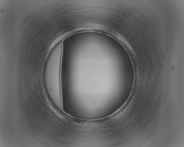 X0000085240842200703090920