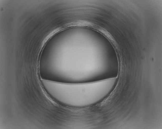 X0000085240850200703090920