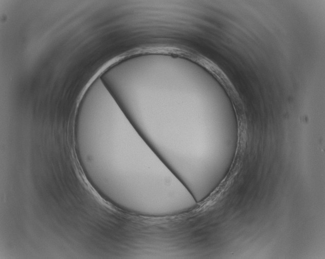 X0000085240852200703090920