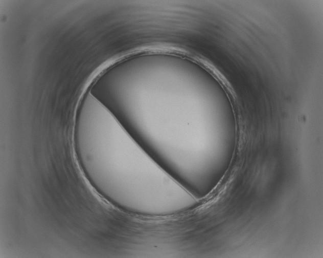 X0000085240853200703090920