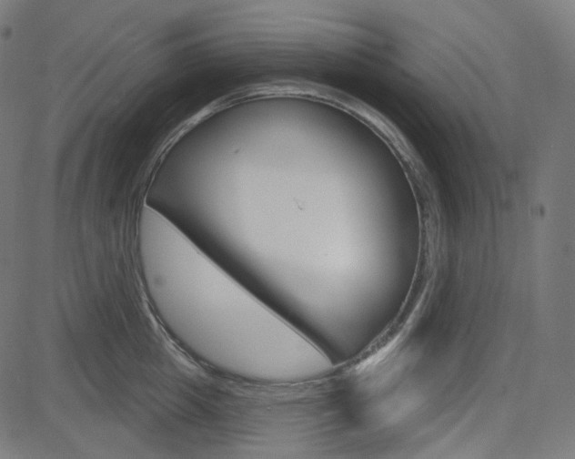 X0000085240857200703090920