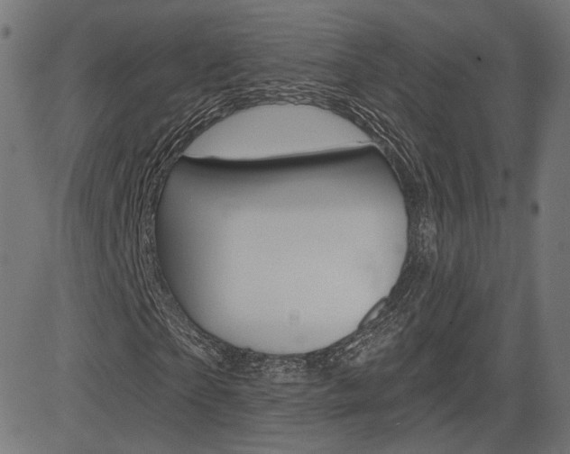 X0000085240865200703090920