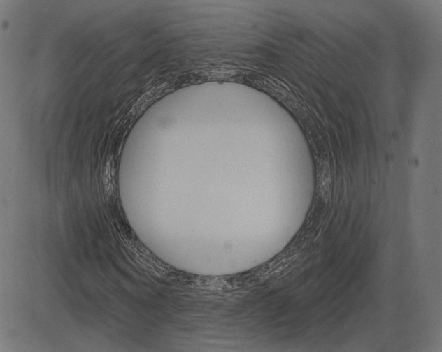 X0000085240866200703090920