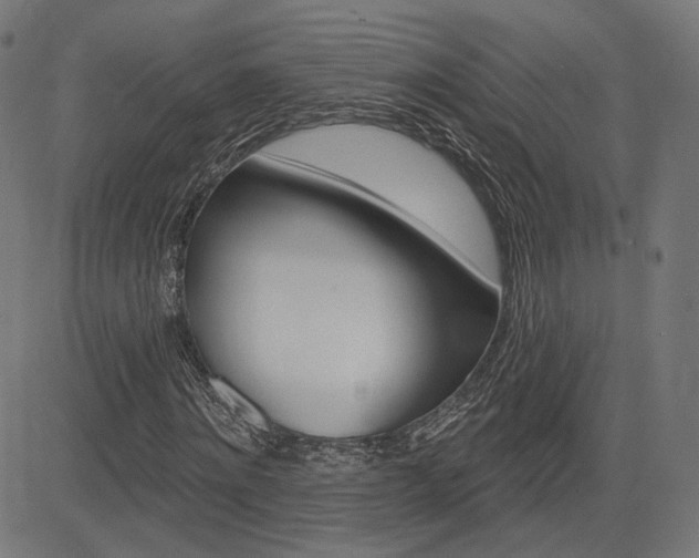X0000085240868200703090919