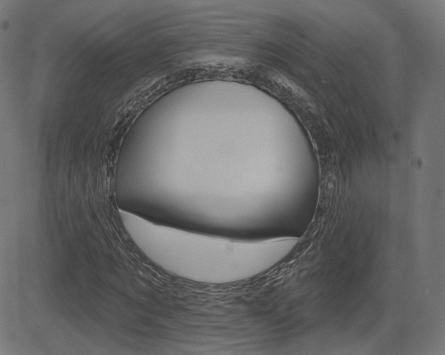 X0000085240869200703090919