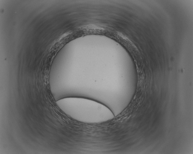 X0000085240870200703090919